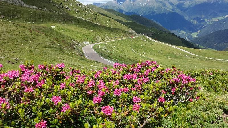 Pension Schoenblick Campo di Trens Kültér fotó